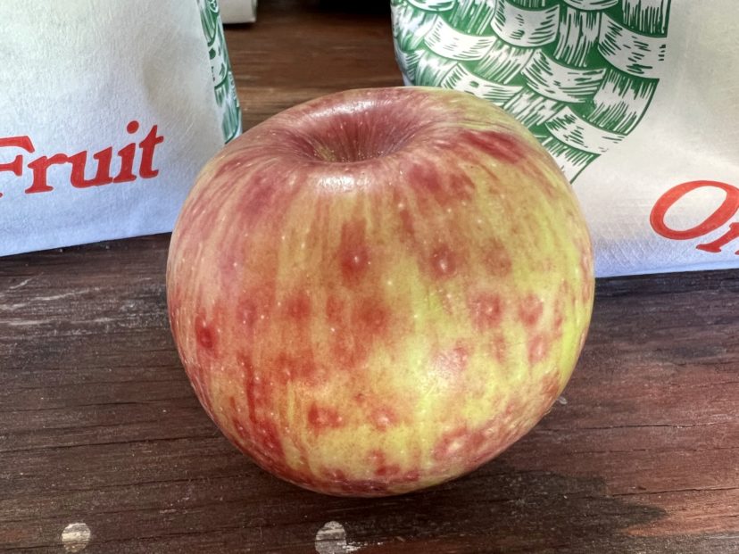 San Jose Scale feeding damage on an apple.