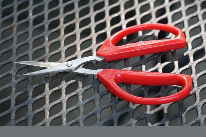 Scissors that have long, thin blades are perfect to use for deadheading and removing old foliage.