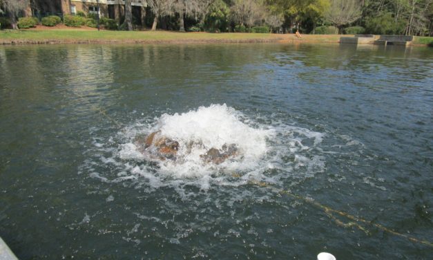 Pond Turnover and Dissolved Oxygen