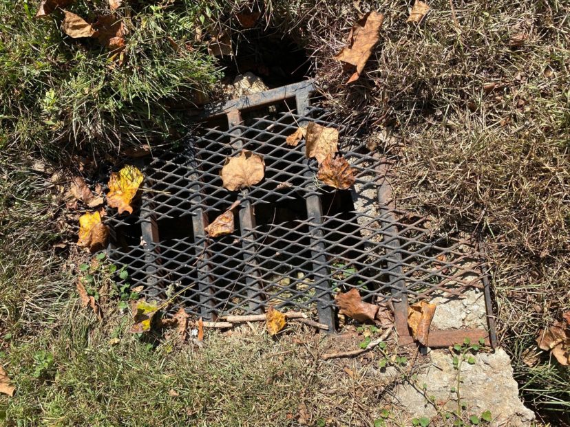 Drainage grates collect leaves easily and need clearing on a routine basis.