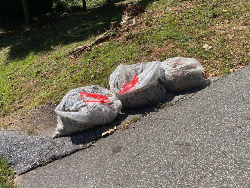 Leaves slowly decompose when packed into plastic bags and placed in a landfill. For quicker decomposition and use, chop or mulch spent leaves directly into the landscape or shred them and put them in a compost bin.