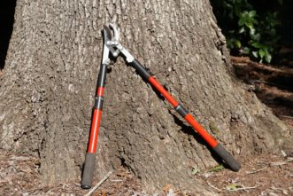 Long-handled loppers with bypass blades and telescoping handles cut branches up to 1½ inches in diameter.