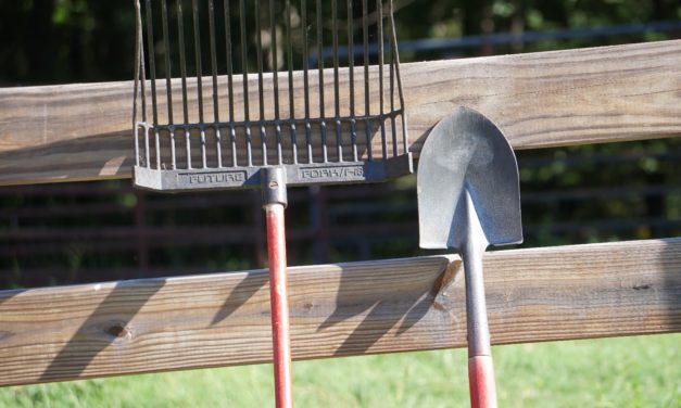 Barbara’s Favorite Garden Tools