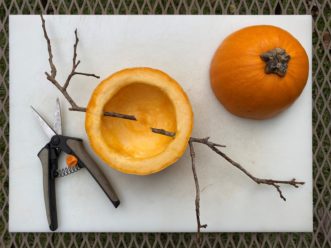 Use sharp pruners to cut twigs or wooden dowels and insert them through the side of the cucurbit to form a perch. Fill with birdseed at this stage or after placement.