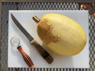 A picture containing indoor, fork Description automatically generated