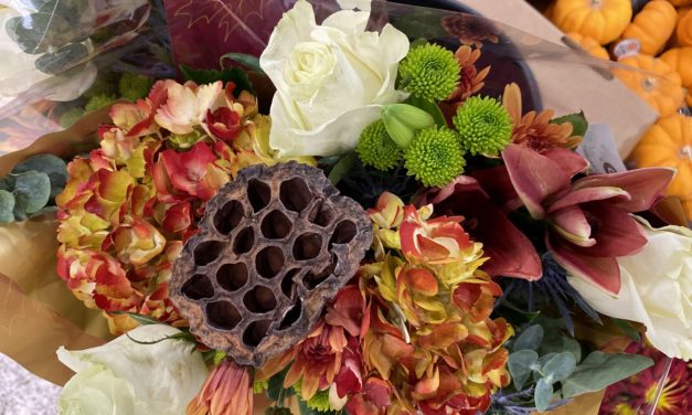 Recycle, Reduce, and Reuse: Cucurbit-Style Birdfeeders