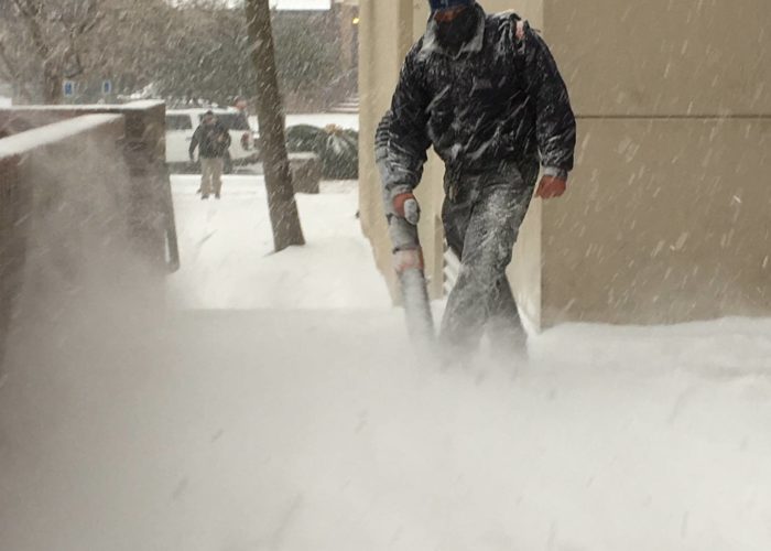 Random winter storms can still pop up in the south and require improvising with garden tools on hand.