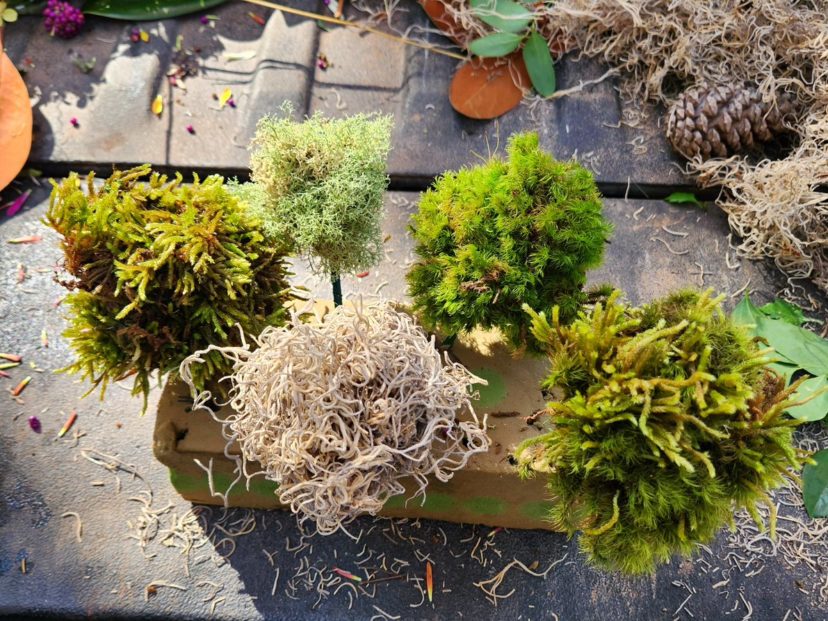 Wired moss balls add another interesting textural feature to the arrangement.