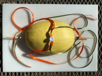 Use twine or ribbon cut into two equal lengths to hang the birdfeeder. Then, secure them to the bottom of the cucurbit with a push pin or nail. Pull twine or ribbon together and tie in a knot with a loop for hanging.