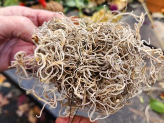 Wrap the wire once around the moss and twist the wire to hold it in place.