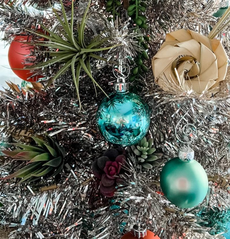 Air plants and palmetto rosettes add a textural interest.