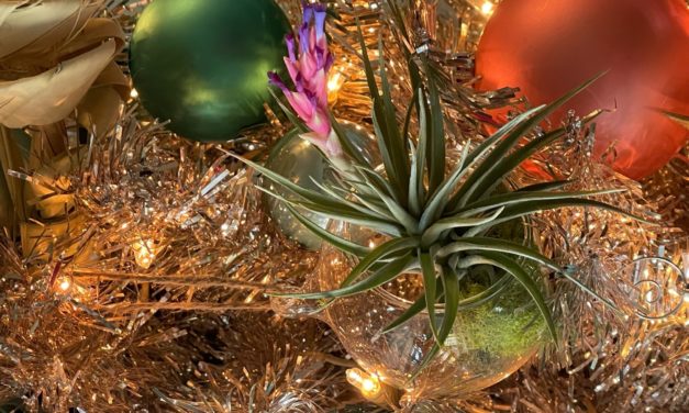 Botanically Themed Christmas Tree