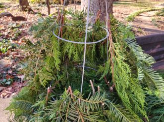 Continue covering the next ring on the tomato cage, ensuring the foliage drapes over the stems on the lower ring.
