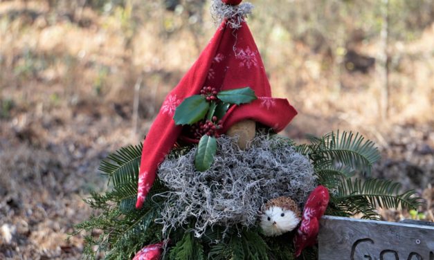 Holiday Garden Gnome