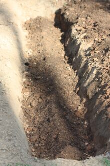 After the trench is dug and the soil is piled beside the trench down the row, amend the soil with compost and the recommended nutrients. Mix in the amendments well and pull some of this soil into the trench. Mound the soil within the trench to form a ridge down the row (as in the photo above). Place the asparagus crowns over this ridge, spread out their roots, and covered them with 2 inches of soil.