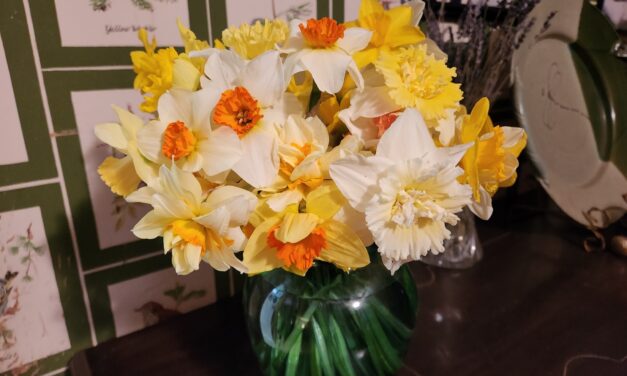 A Bouquet of Sunshine