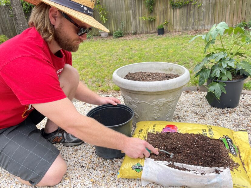 Preparing spring planter with new mixed soil is an important step to ensuring your flowering display thrives through the season.