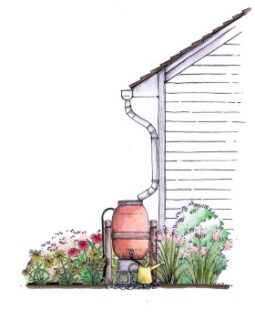 To encourage frequent use, identify a location for your rain barrel that is as close to landscaped beds and container plants as possible.