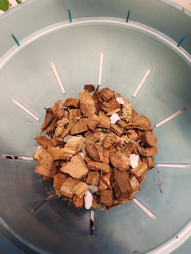 Chunky bark pieces placed in the bottom portion of the container.