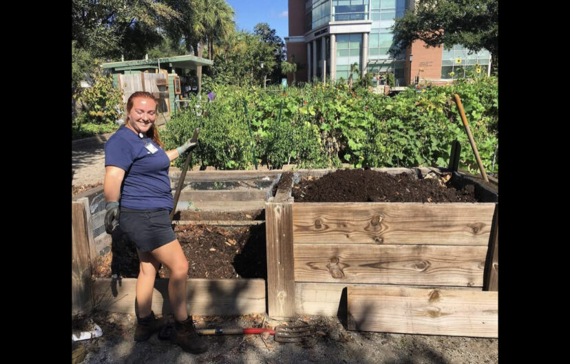 Create your own compost pile.