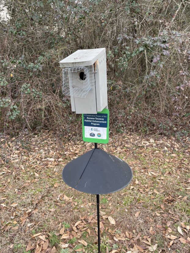 Eastern bluebird nesting box featuring a guard to prevent predators such as snakes from reaching the young.