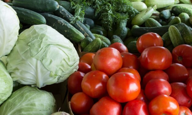 A Beginners Guide to Fresh vs. Frozen Produce