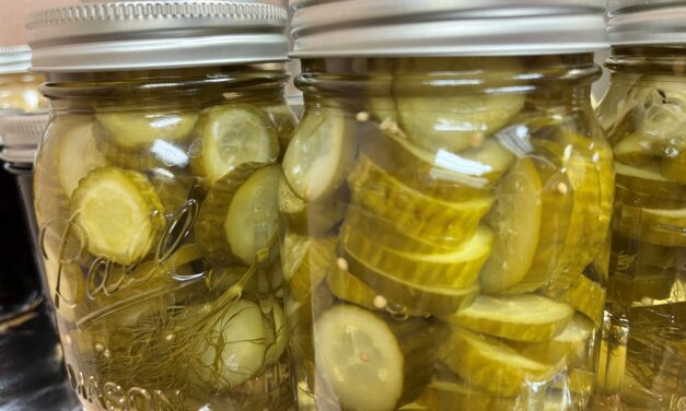 Say “No” to Old Pickle Recipes