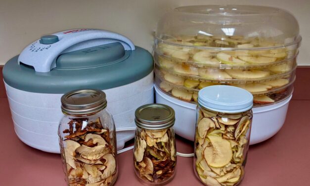 Preserving Freshness: The Basics of Food Preservation
