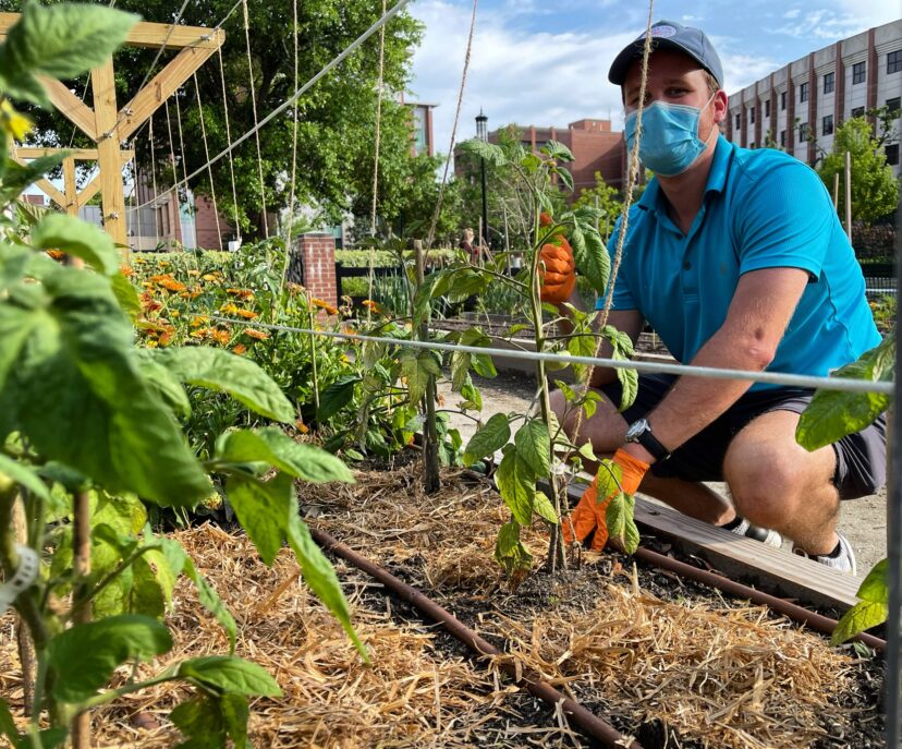 This is the time to trellis warm season vegetables as they grow.