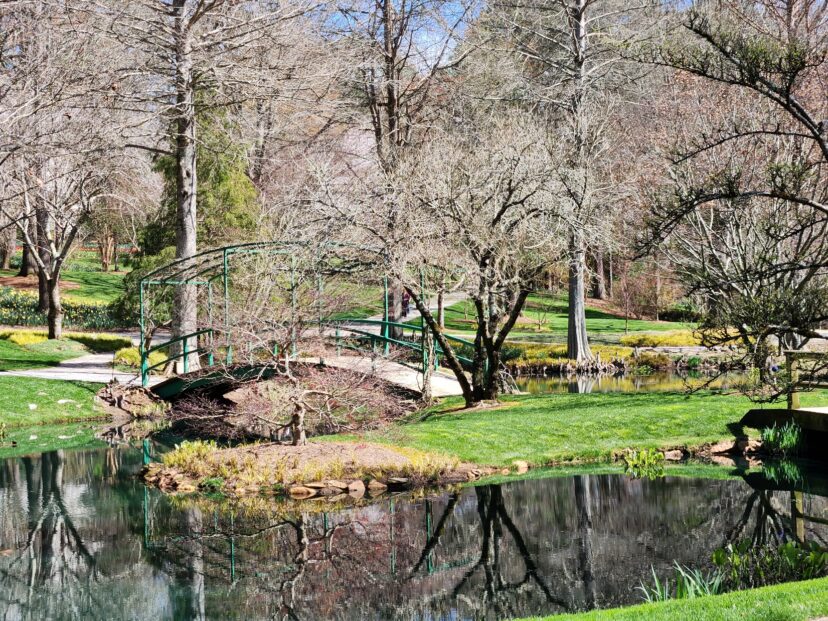 April 10 Week 2 Garden Photos Home & Garden Information Center