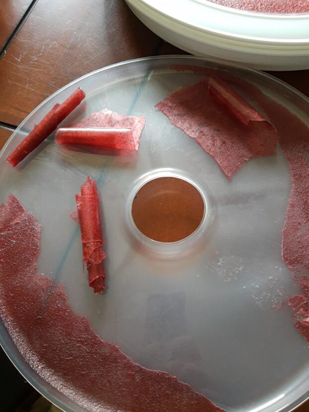 Fruit leathers rolled up.