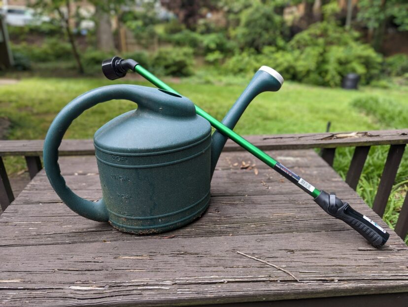 I have a defunct irrigation system that I have no interest in repairing. I water with a watering wand attached to a hose or water can.