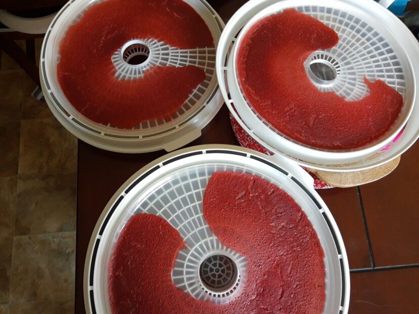 Puree spread on trays.