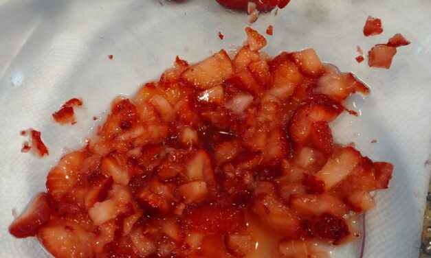 Strawberry Fruit Leather