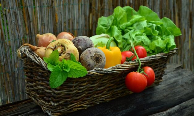 ‘Tis the Season for Fresh Fruits and Vegetables