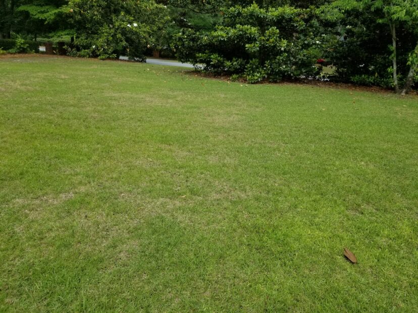 Avoiding nitrogen fertilizer applications on warm season lawns after August 15th.