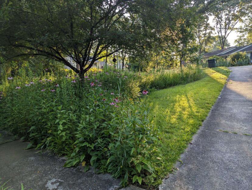 Lazy gardeners rebel against perfect landscapes.