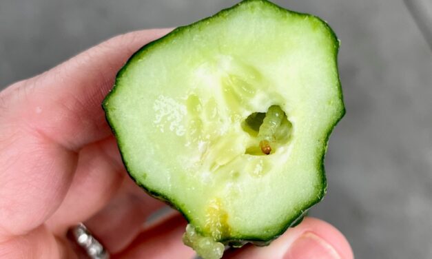SC Fruit and Vegetable Field Report- July 10, 2023