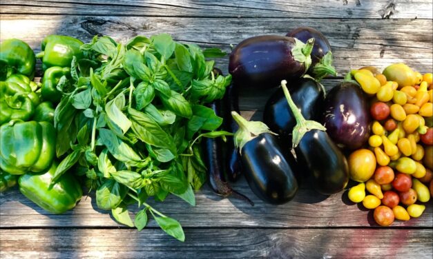The Benefits of Seasonal Eating: Fresh, Nutrient-Dense, and Budget-Friendly