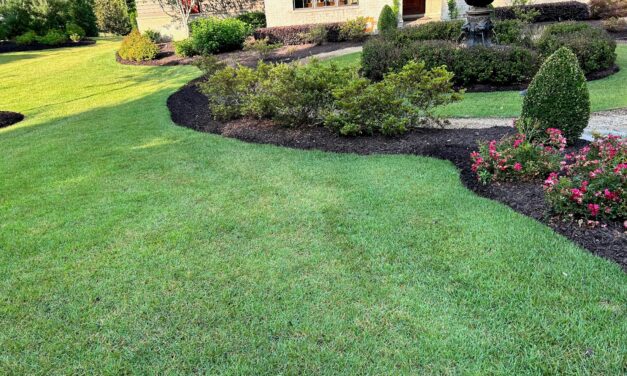 Weed Control in Landscapes: Herbicides