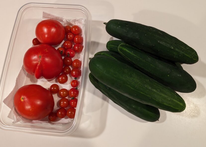 A tiny fraction of the cucumbers from two vines this year.
