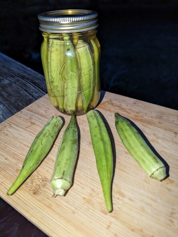 Okra Pickles in a mason jar, sitting on wooden cutting board with pickled okra pods displayed in front of the jar.