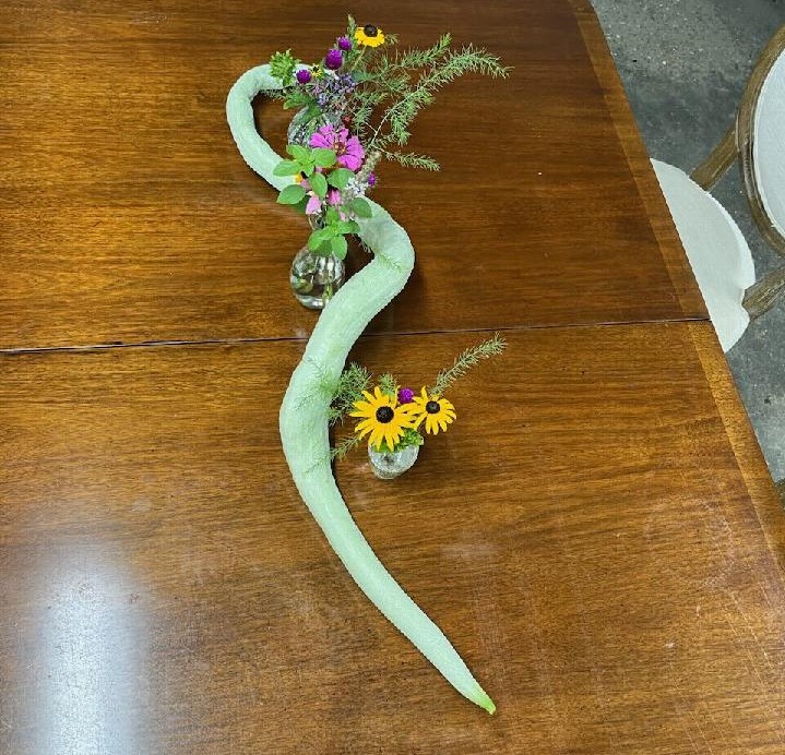 The snake bean fruit makes an interesting table decoration.