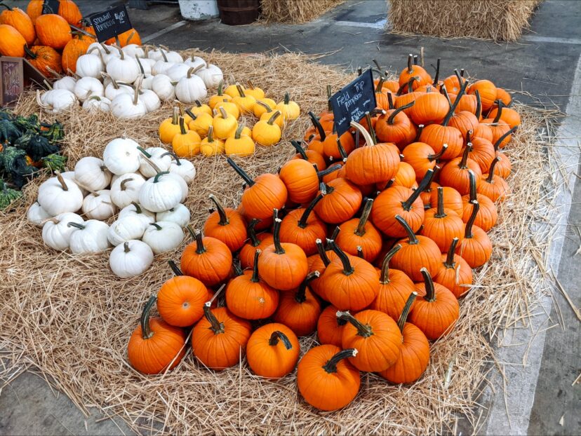 Pumpkins at the Pee Dee Farmers Market in Florence, SC.