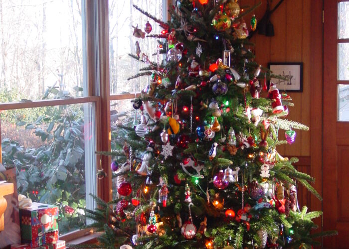 Following proper safety precautions on a tree will ensure a safe Christmas season.