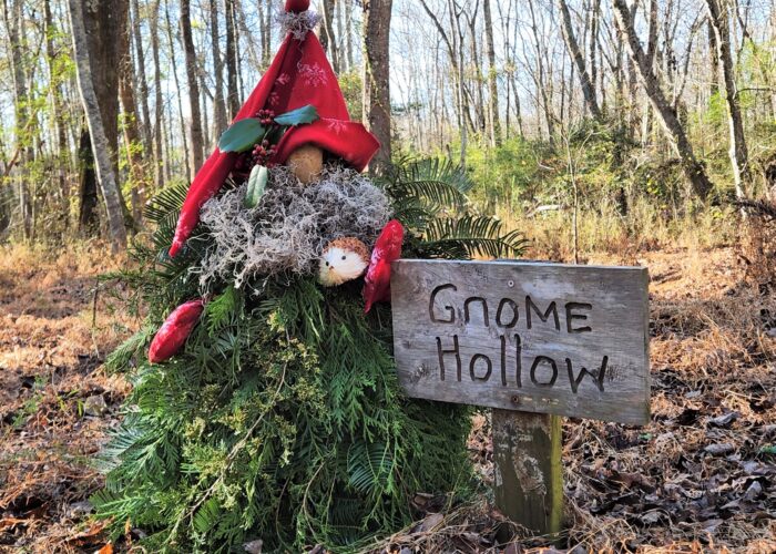 Make a holiday gnome from a tomato cage and decorate it with greenery and Spanish moss.