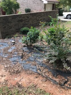 Unsightly plastic in landscape beds will prevent the proper exchange of water and air.