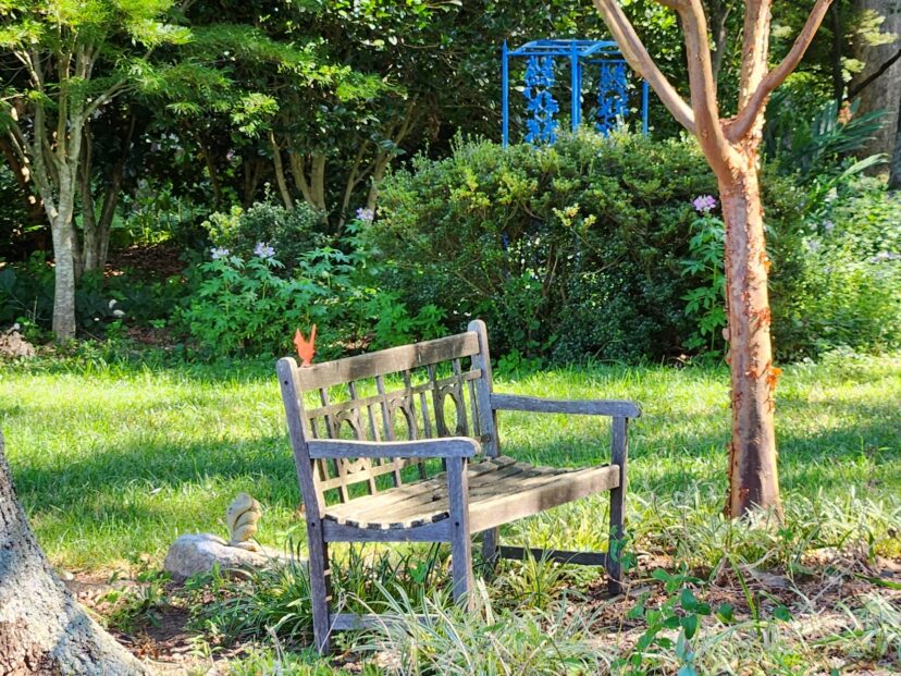 Place a bench in the garden to take a break and enjoy looking at your progress.