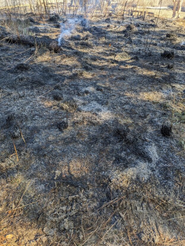 After the fire at the South Carolina Botanical Garden.