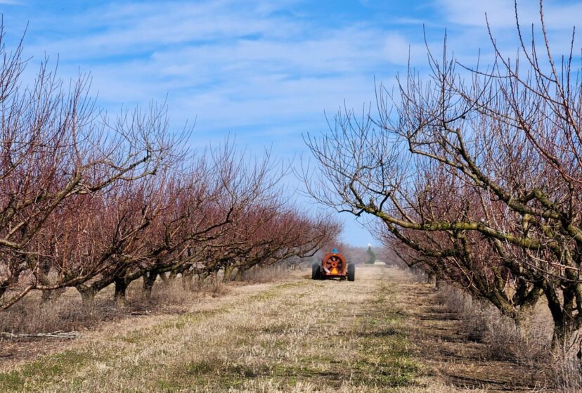 Crews applying dormant oil sprays mixed with copper in Edgefield County.